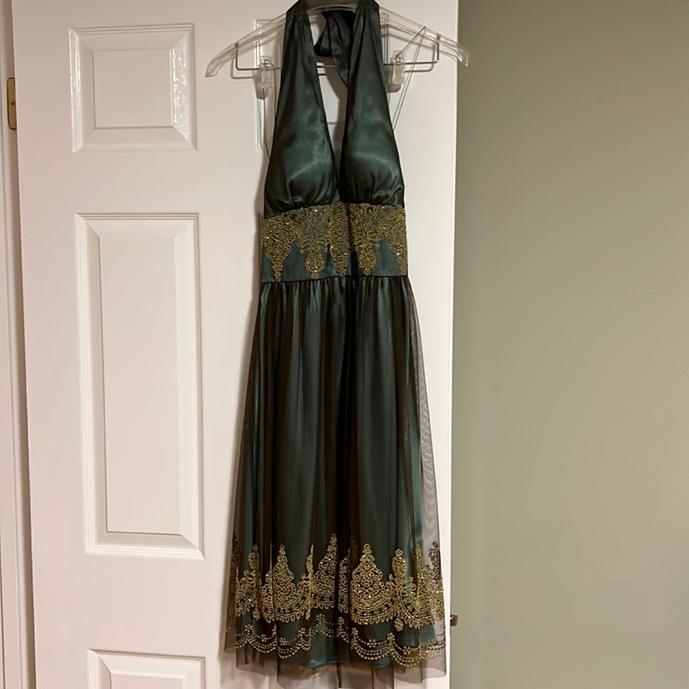 Adrianna Papell dress